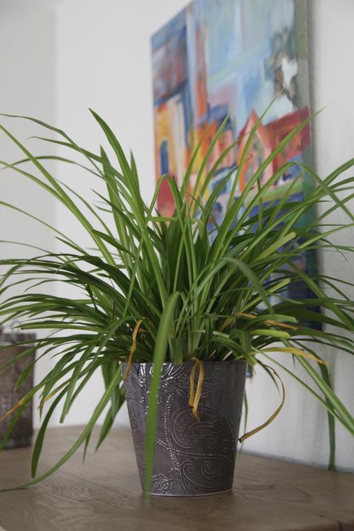 Aux Herbes Folles Herve Bagian luar foto